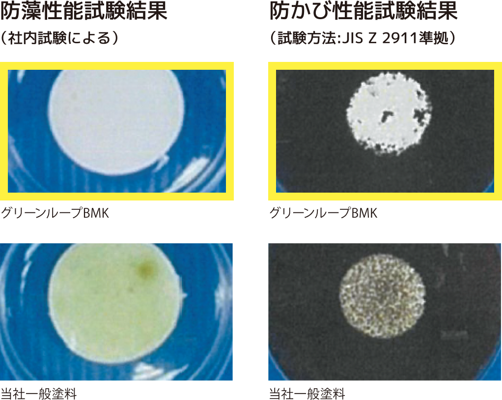 防藻・防かび性能試験の結果